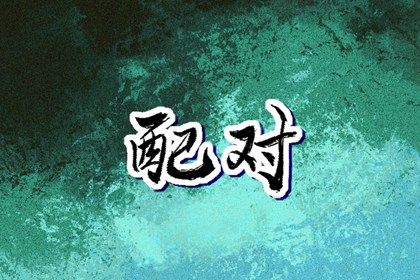 十二生肖婚配概说